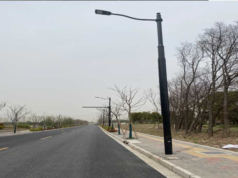 武进区上海综合杆 太阳能路灯工程